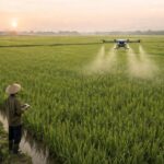 cara meningkatkan hasil panen dengan drone