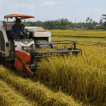 peralatan panen sawah modern