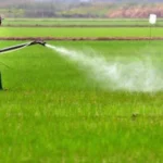 cara meningkatkan efisiensi penyemprotan tanaman