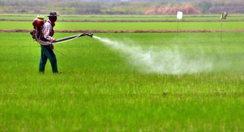 cara meningkatkan efisiensi penyemprotan tanaman