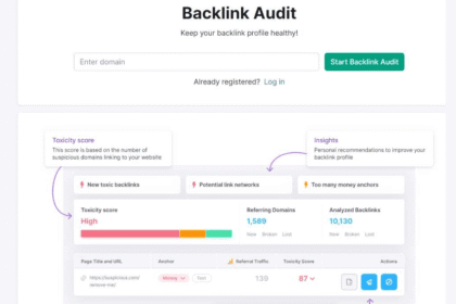 Cara Melakukan Audit Backlink Berkala pada Website