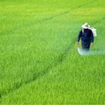 manfaat teknologi otomatis untuk perawatan tanaman