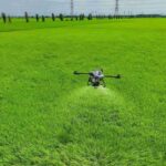 manfaat drone untuk pertanian