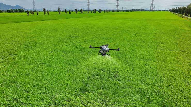 manfaat drone untuk pertanian