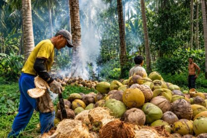 usaha pengolahan kelapa rumahan