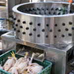 kenapa ayam direndam air panas