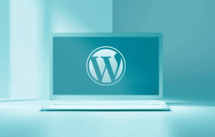 Struktur Menu WordPress