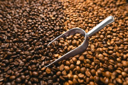 kopi