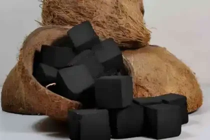 tempurung kelapa jadi briket