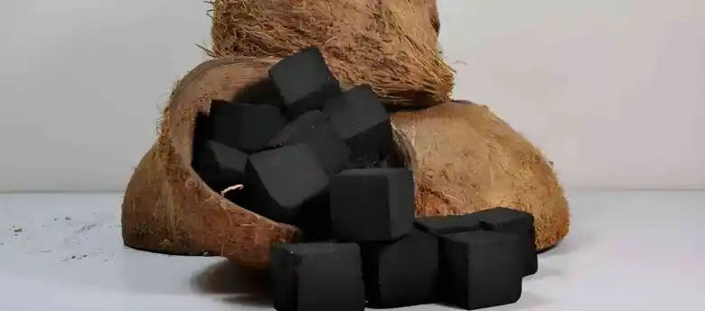 tempurung kelapa jadi briket