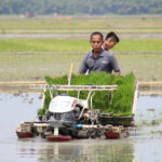 Persiapan Sawah Sebelum Musim Tanam
