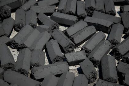 energi alternatif limbah organik