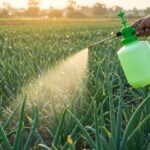 pengaruh ukuran droplet terhadap penyemprotan tanaman