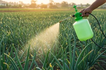 pengaruh ukuran droplet terhadap penyemprotan tanaman