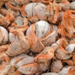pemanfaatan hasil cacahan sabut kelapa
