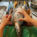 cara mencabut bulu bebek cepat