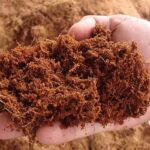 cara mengolah sabut kelapa menjadi cocopeat
