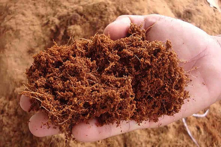 cara mengolah sabut kelapa menjadi cocopeat