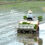 faktor penentu harga rice transplanter