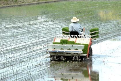 faktor penentu harga rice transplanter