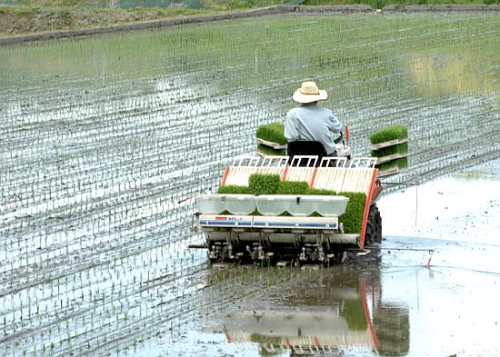 faktor penentu harga rice transplanter