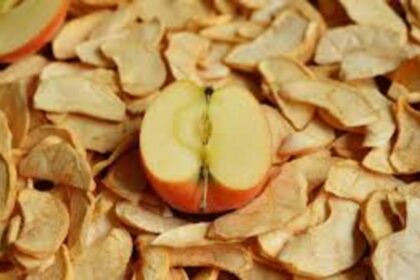 tips keripik buah tidak berminyak