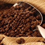 perbedaan pengolahan kopi arabika dan robusta